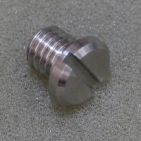 低頭スリット入り化粧ボルトの写真