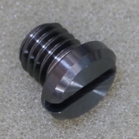 チタンスリット入り化粧ボルトの写真